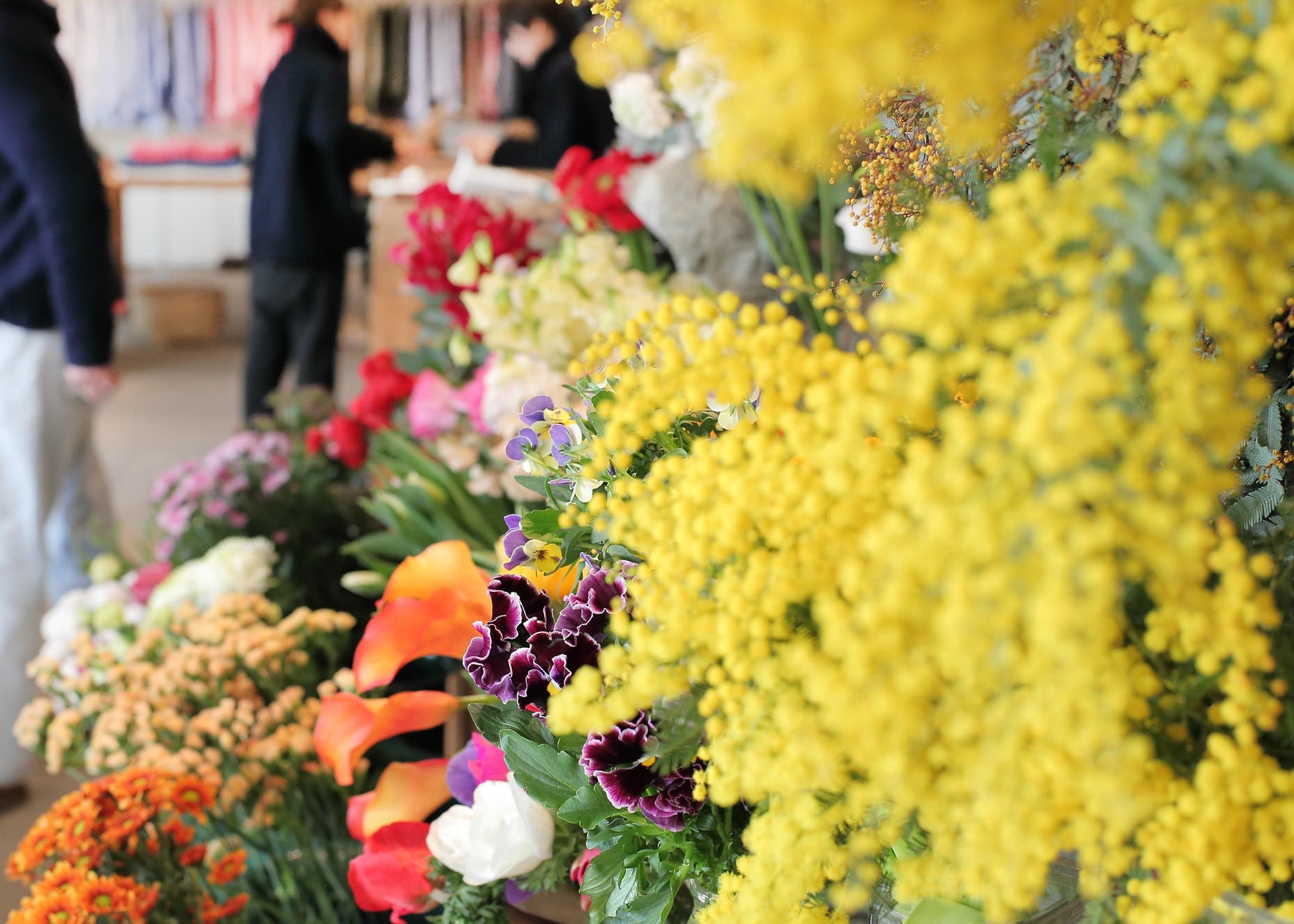 BAREFOOT 海辺の暮らし展『SUNSHINE+CLOUD POP UP』3/27-3/31