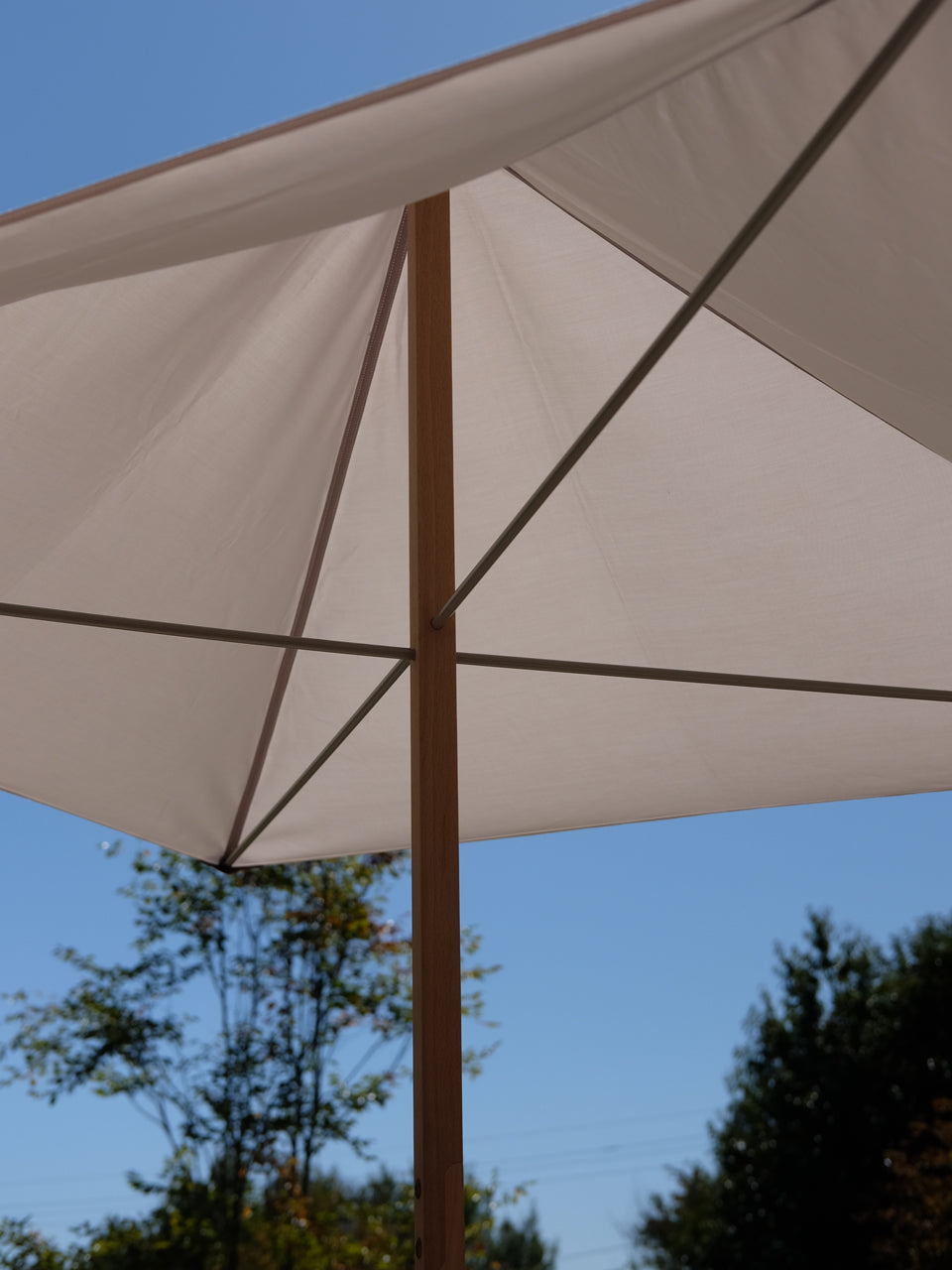 Primitivo Parasol