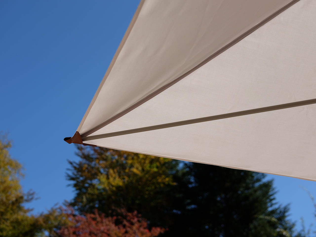 Primitivo Parasol