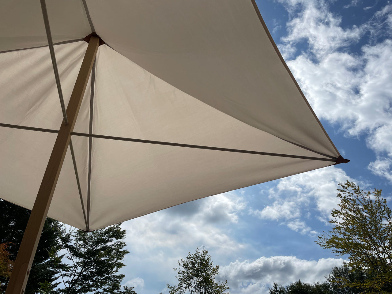 Primitivo Parasol