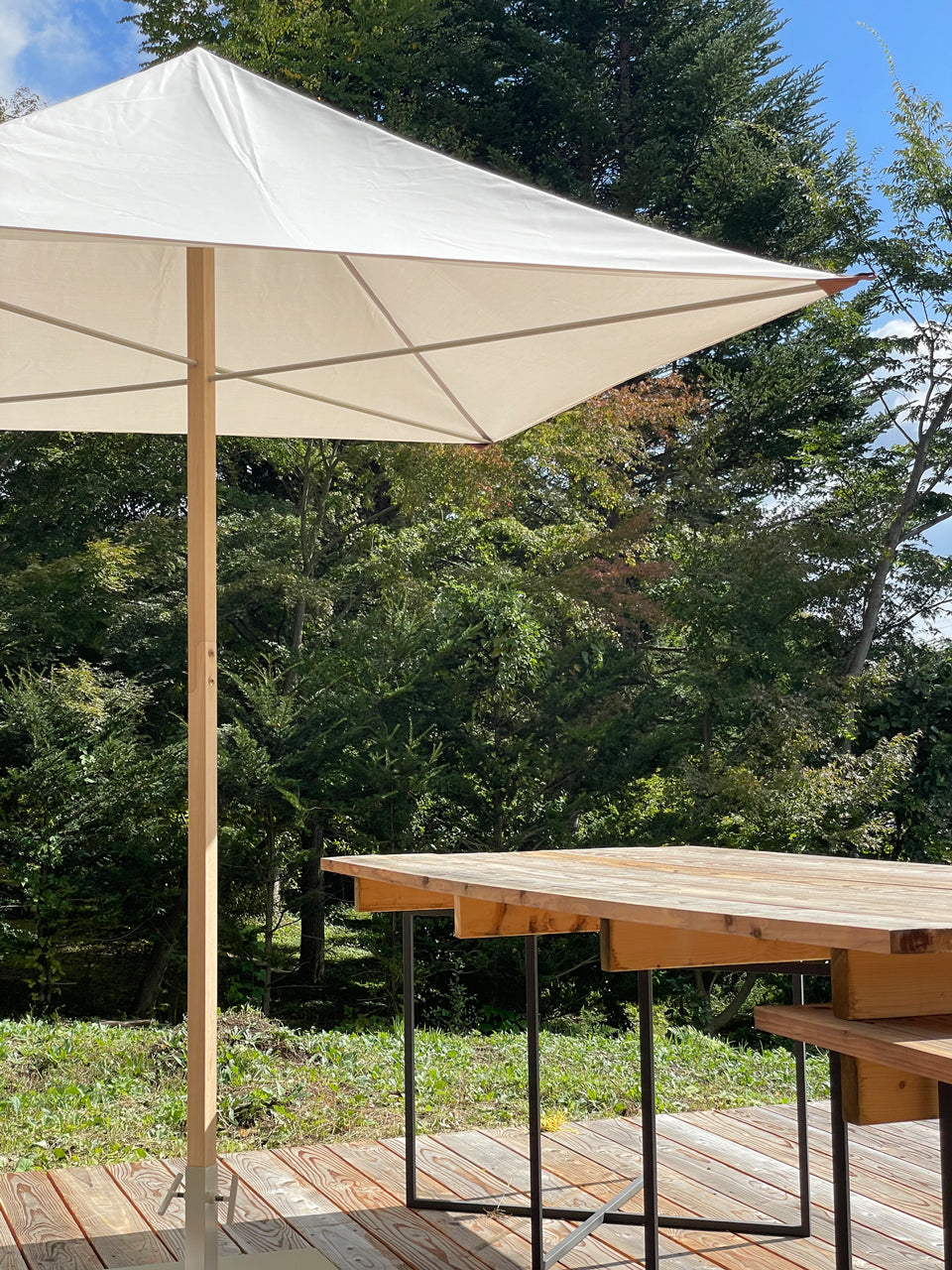 Primitivo Parasol