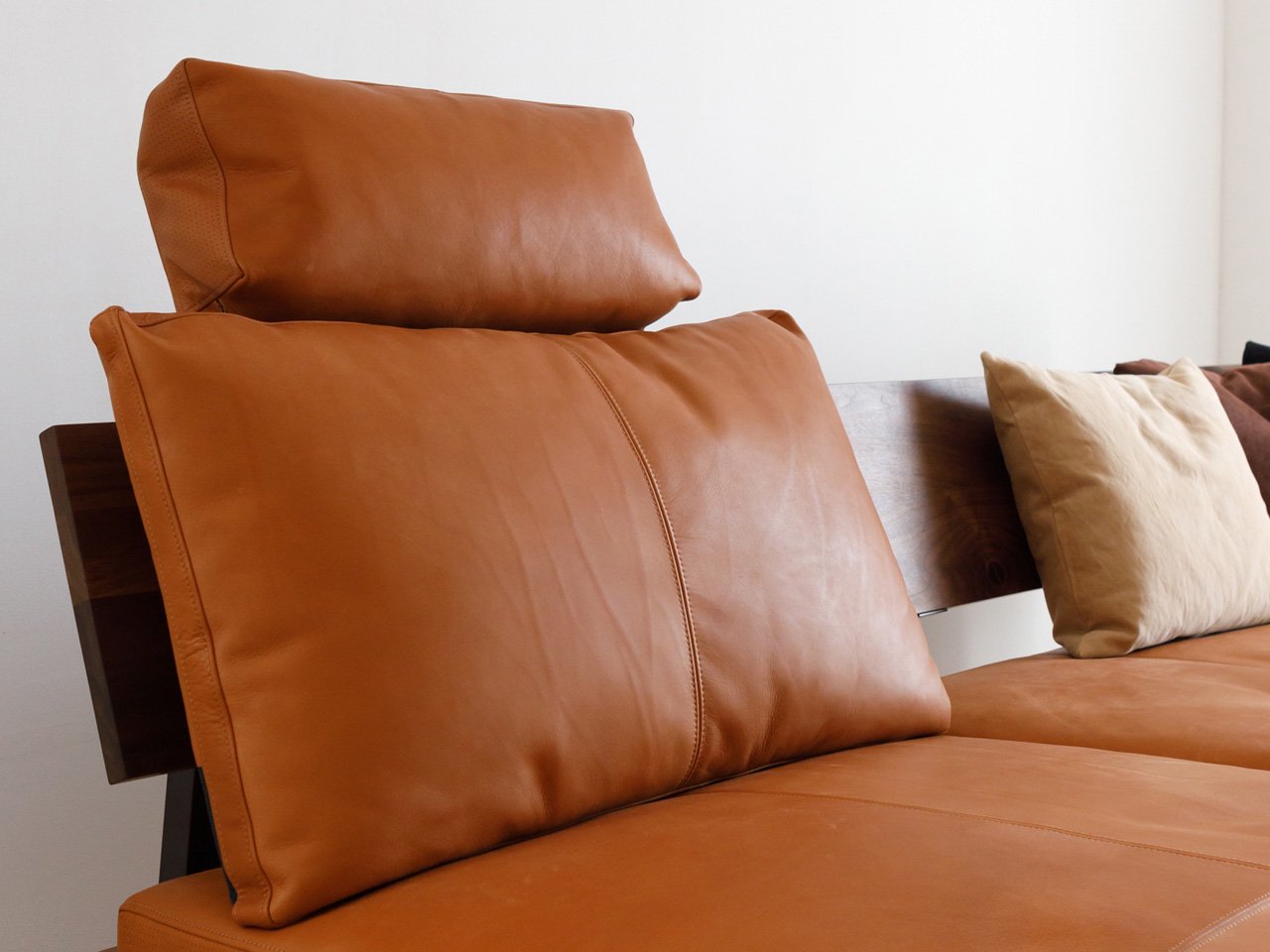FREX back cushion