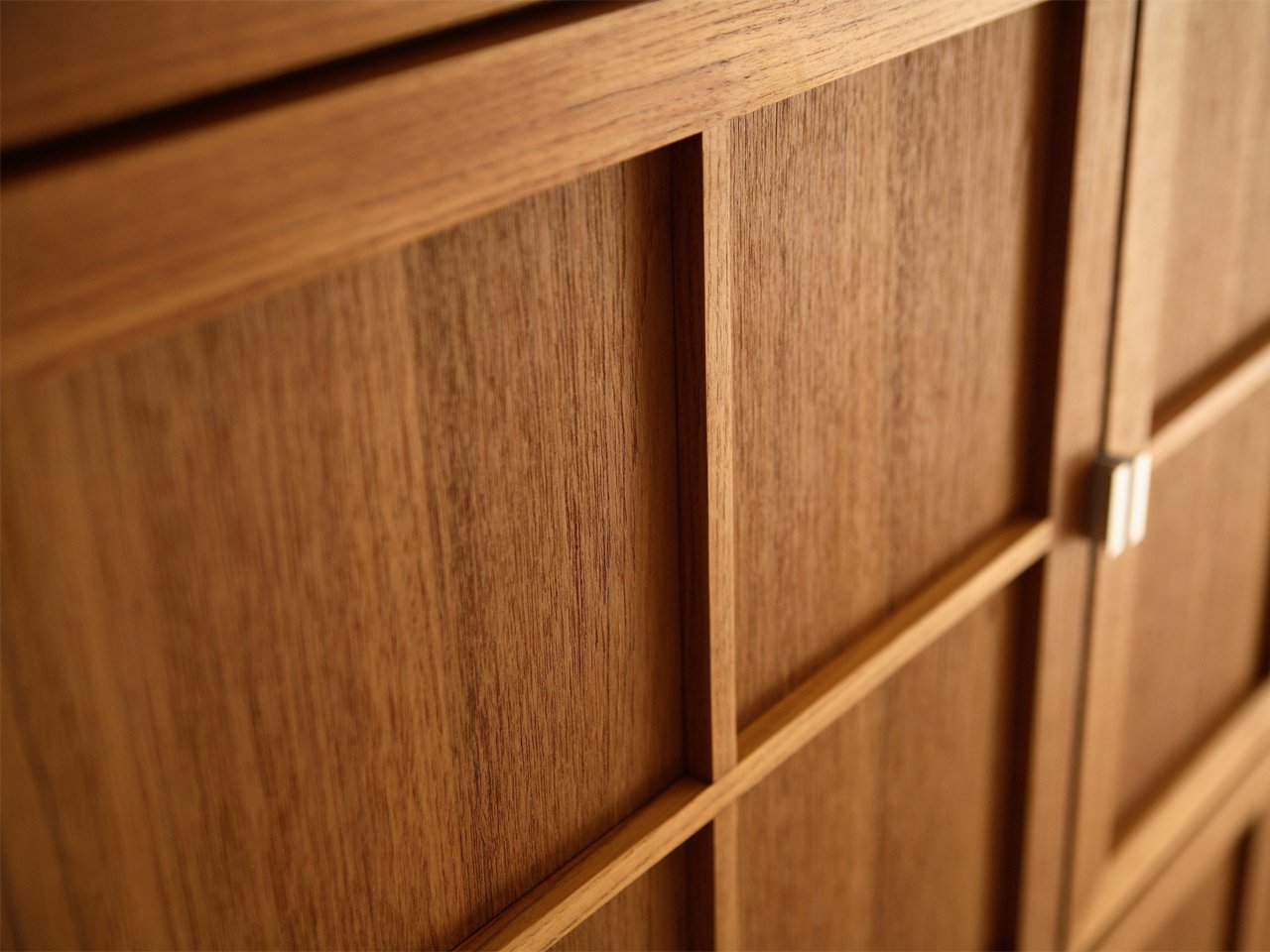 ANIMA Cabinet