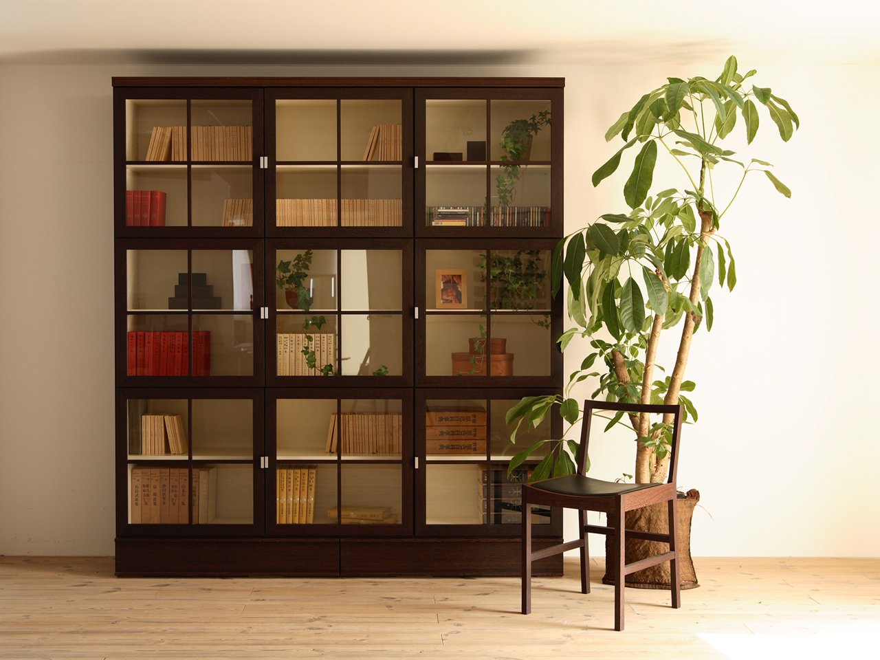 ANIMA Cabinet