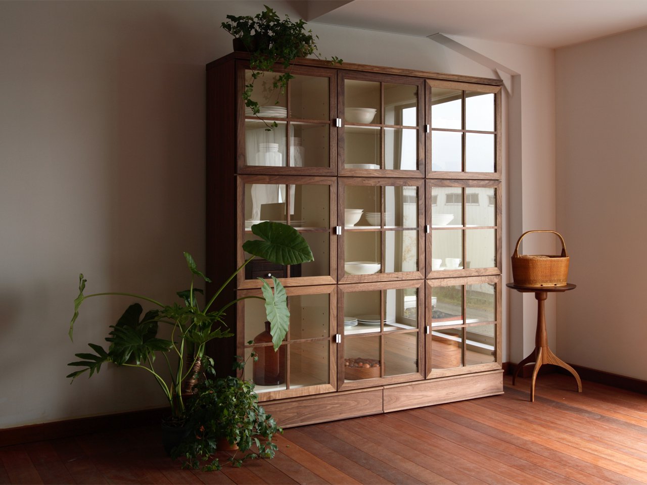 ANIMA Cabinet