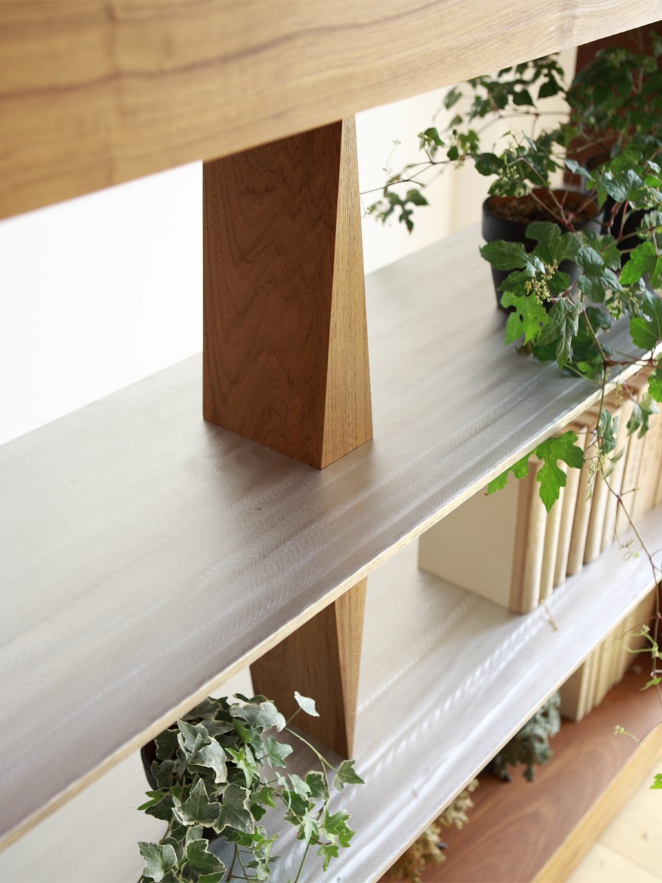 ANIMA Shelf