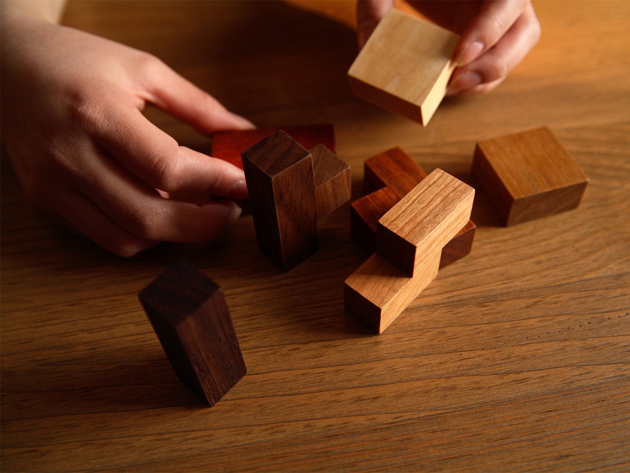 GIOCARE Polycube Puzzle