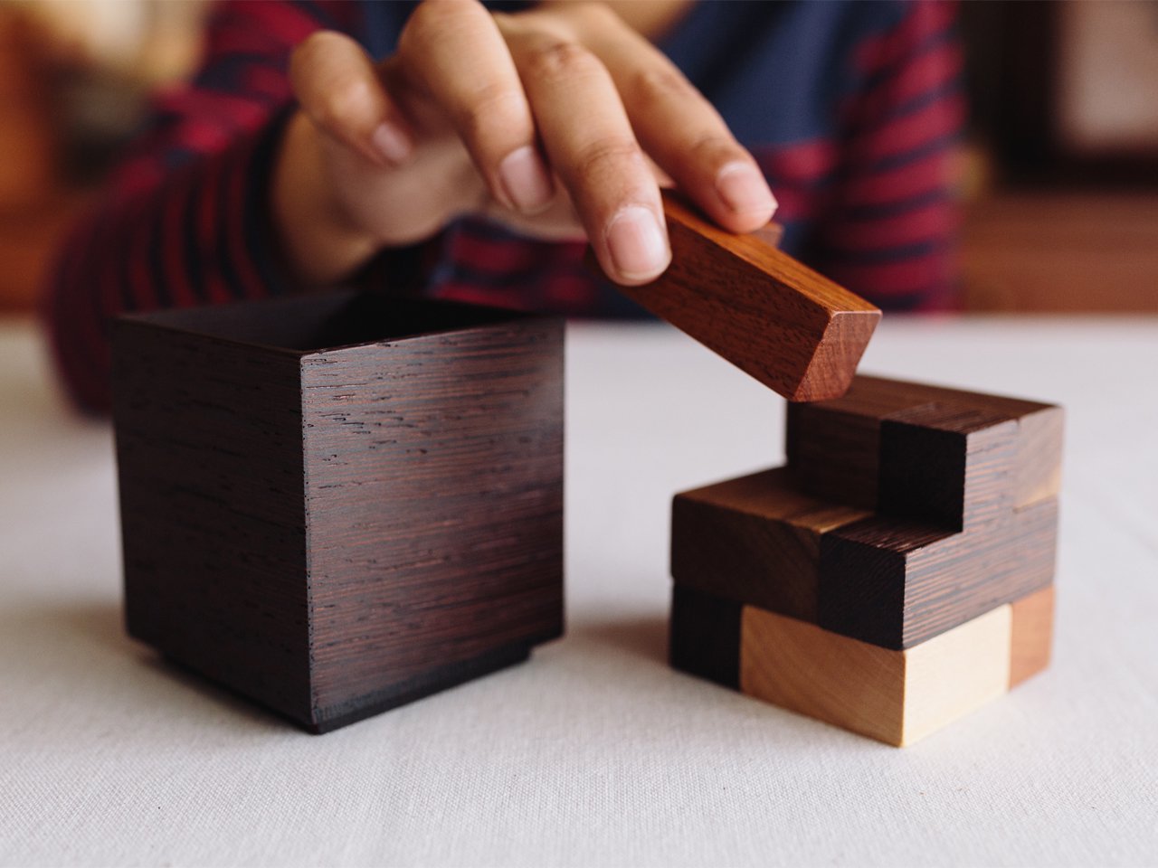 GIOCARE Polycube Puzzle