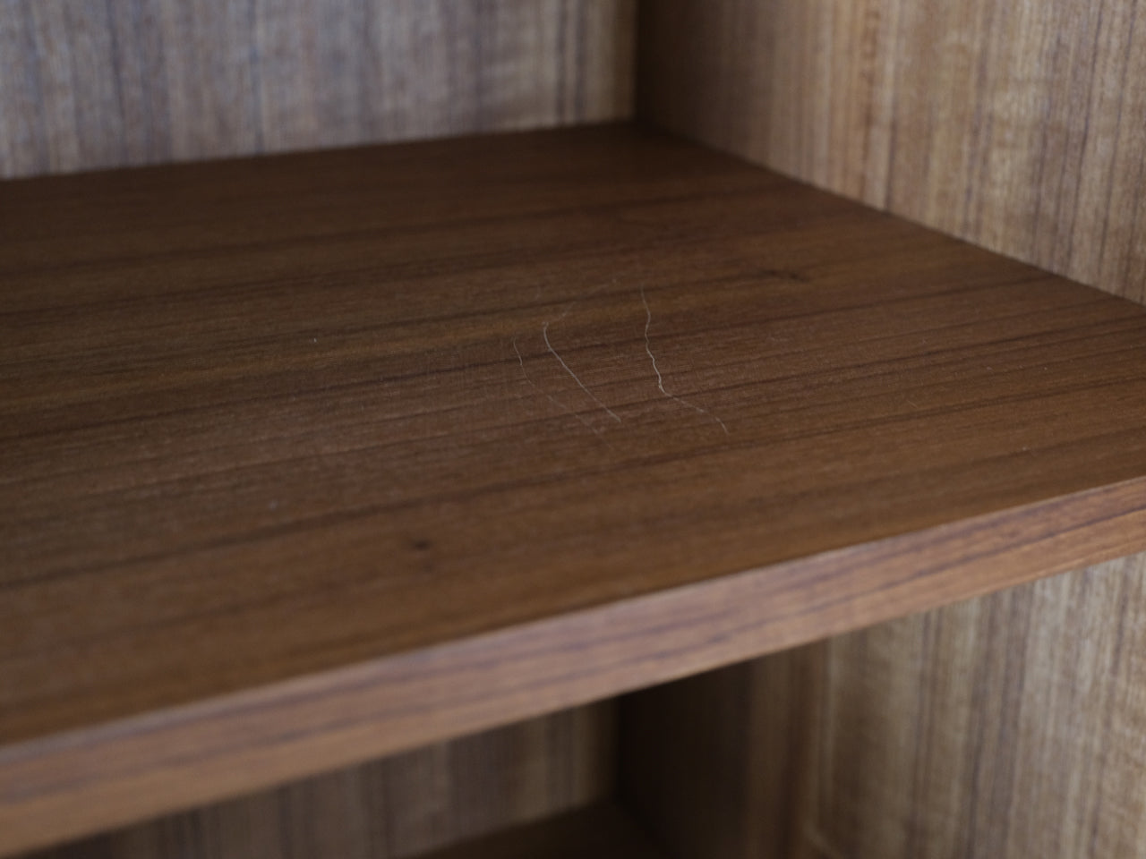 ANIMA Cabinet