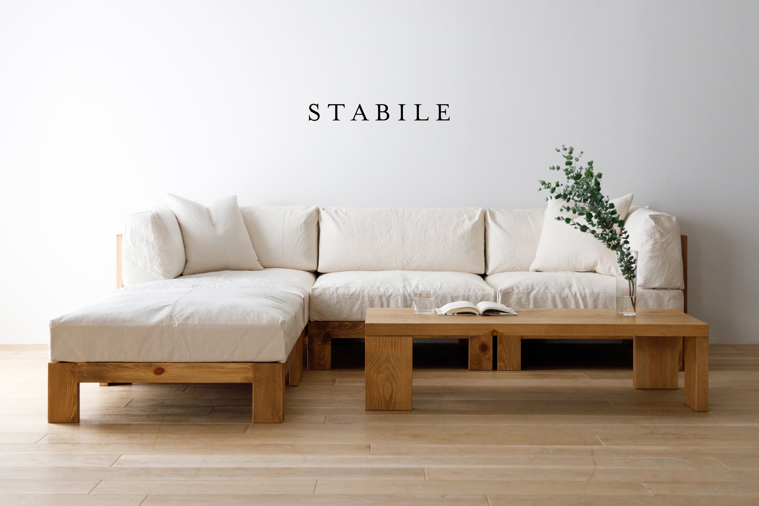 STABILE_logo.jpg?v=1691366980&